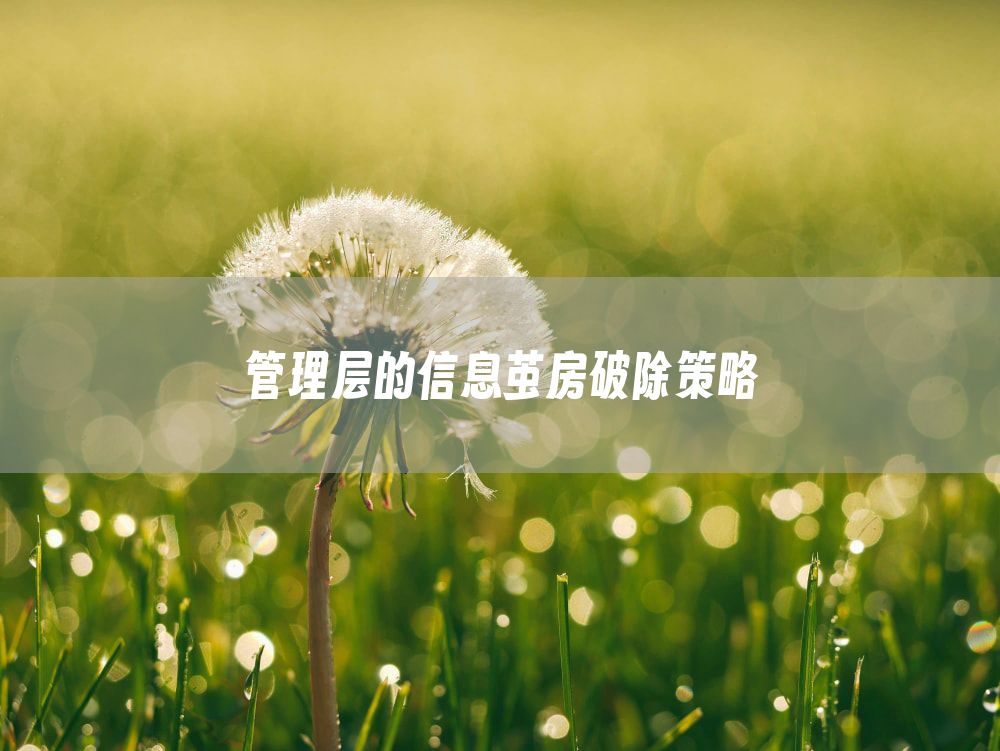 管理层的信息茧房破除策略