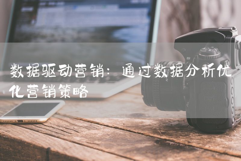 数据驱动营销：通过数据分析优化营销策略