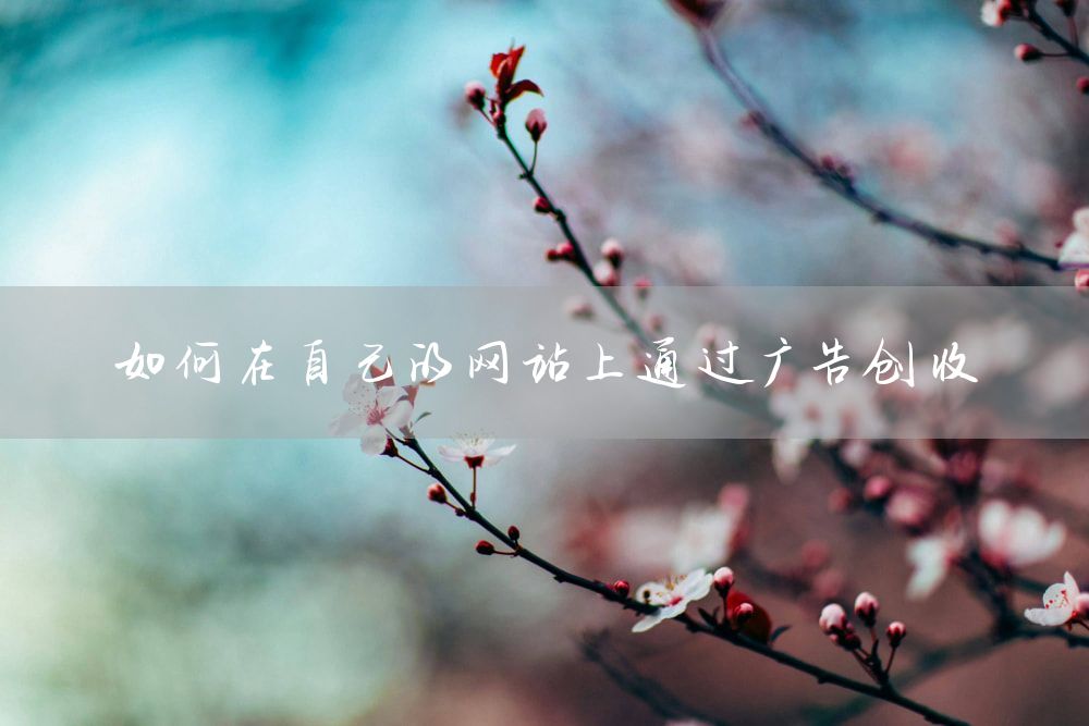 如何在自己的网站上通过广告创收