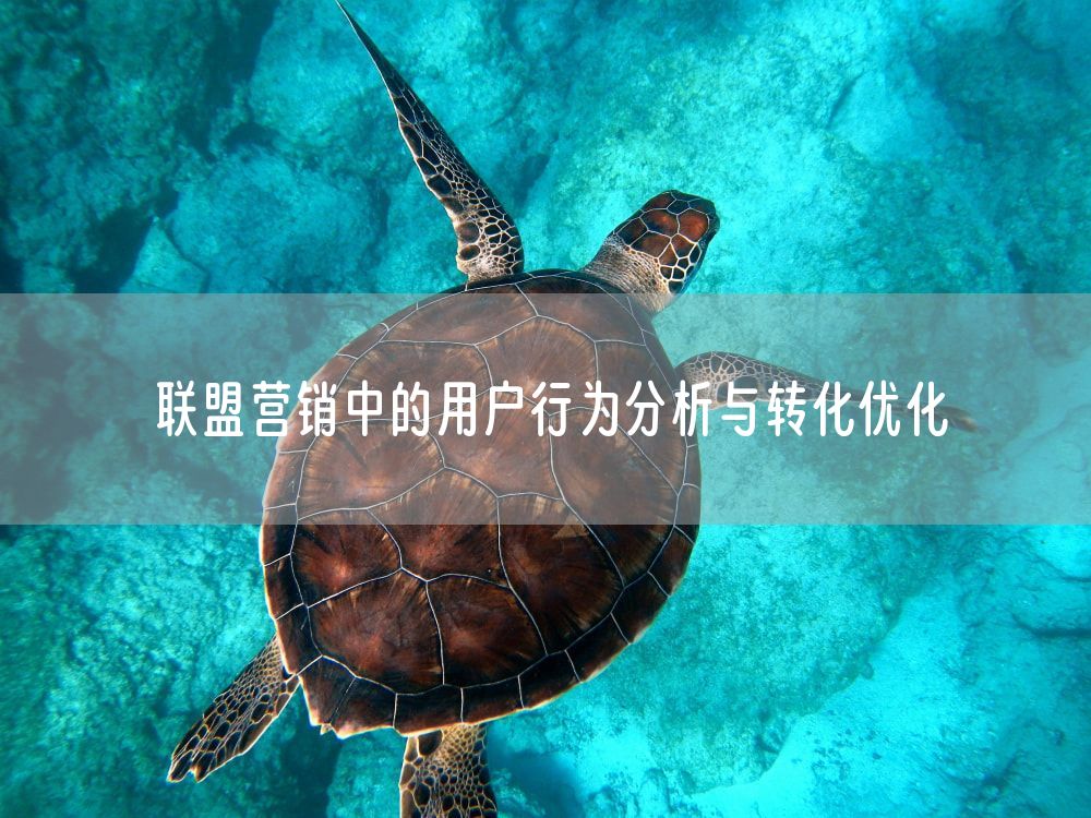 联盟营销中的用户行为分析与转化优化