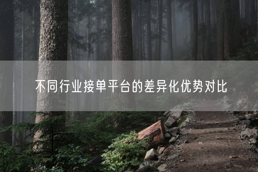 不同行业接单平台的差异化优势对比