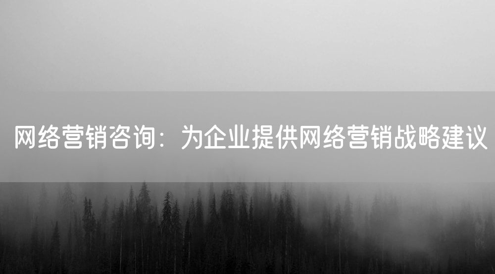 网络营销咨询：为企业提供网络营销战略建议