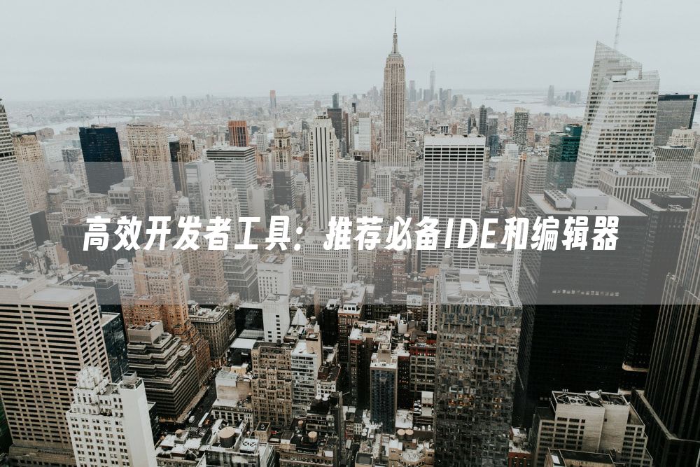 高效开发者工具：推荐必备IDE和编辑器