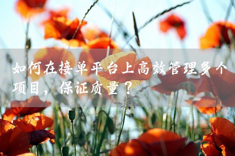如何在接单平台上高效管理多个项目，保证质量？