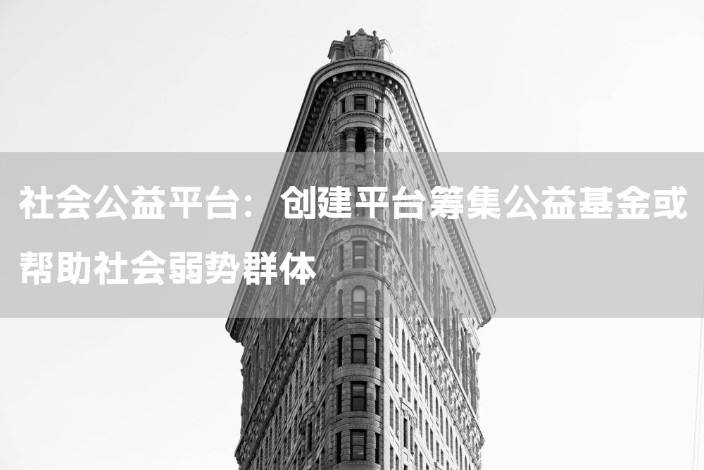 社会公益平台：创建平台筹集公益基金或帮助社会弱势群体