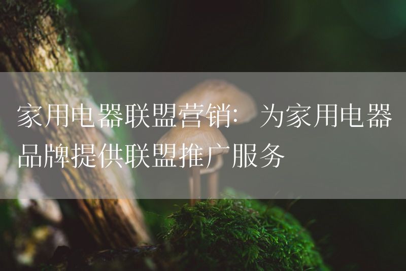 家用电器联盟营销：为家用电器品牌提供联盟推广服务