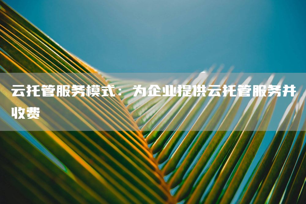 云托管服务模式：为企业提供云托管服务并收费
