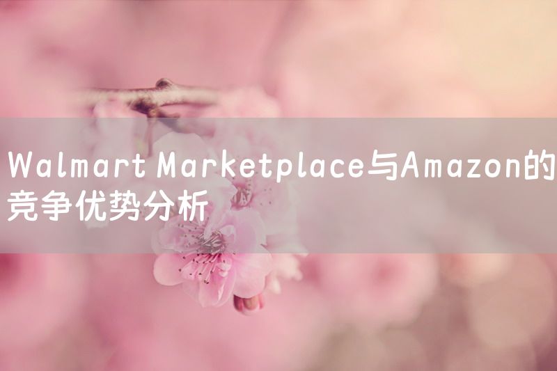 Walmart Marketplace与Amazon的竞争优势分析