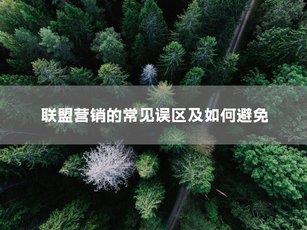 联盟营销的常见误区及如何避免