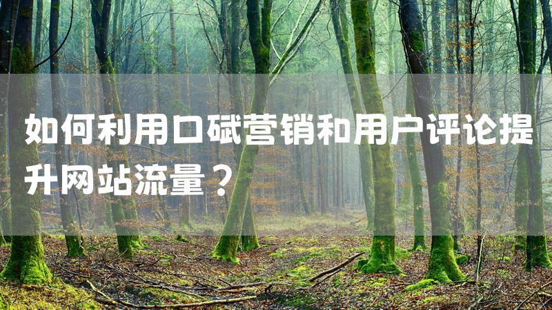 如何利用口碑营销和用户评论提升网站流量？