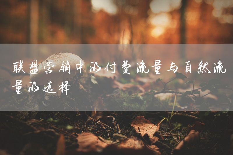 联盟营销中的付费流量与自然流量的选择