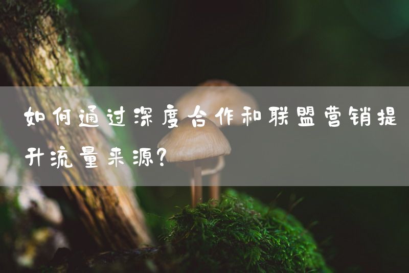 如何通过深度合作和联盟营销提升流量来源？