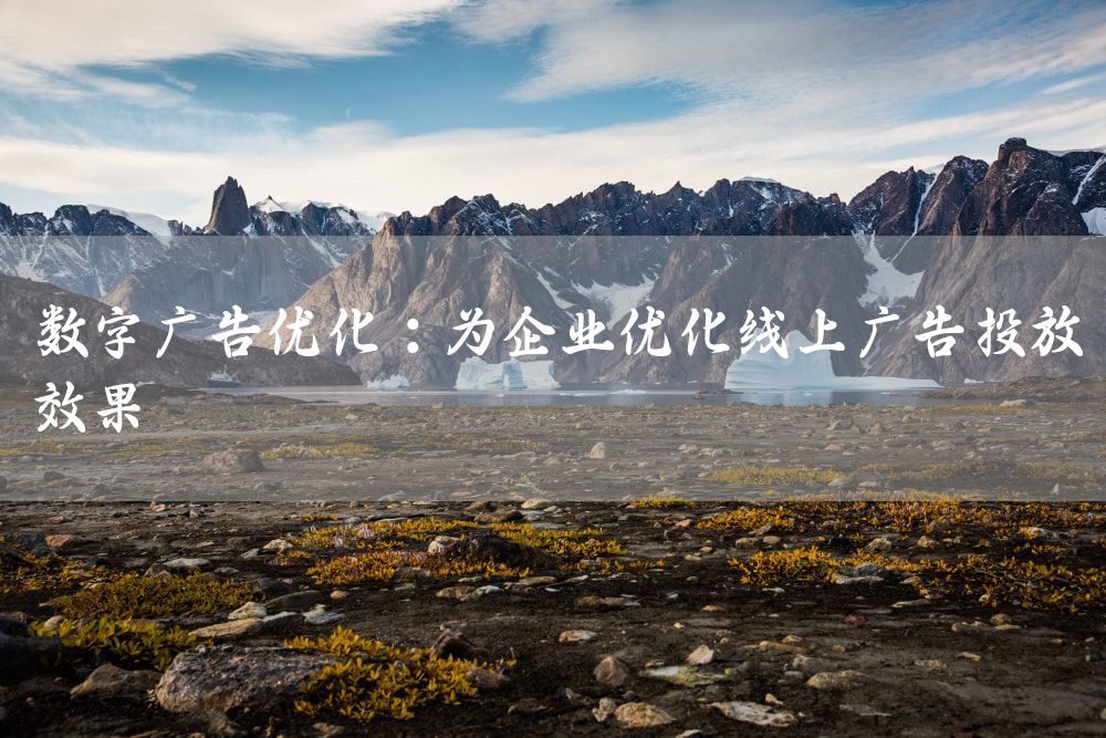 数字广告优化：为企业优化线上广告投放效果