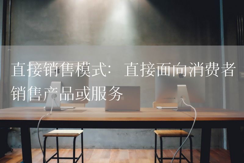 直接销售模式：直接面向消费者销售产品或服务