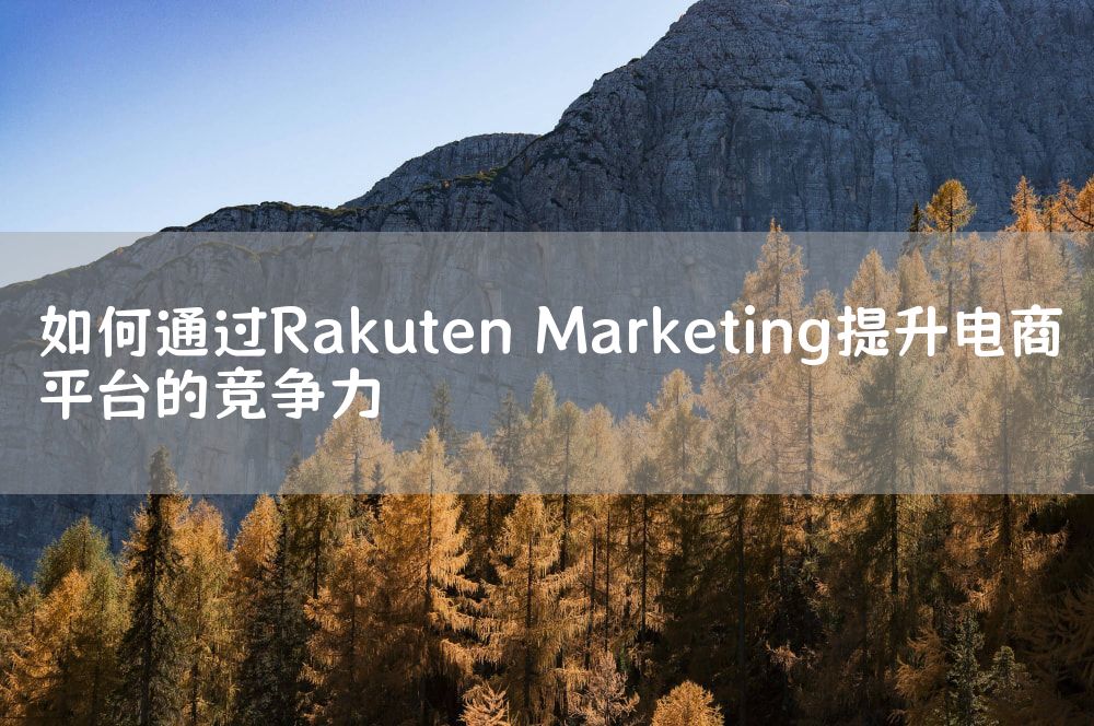 如何通过Rakuten Marketing提升电商平台的竞争力