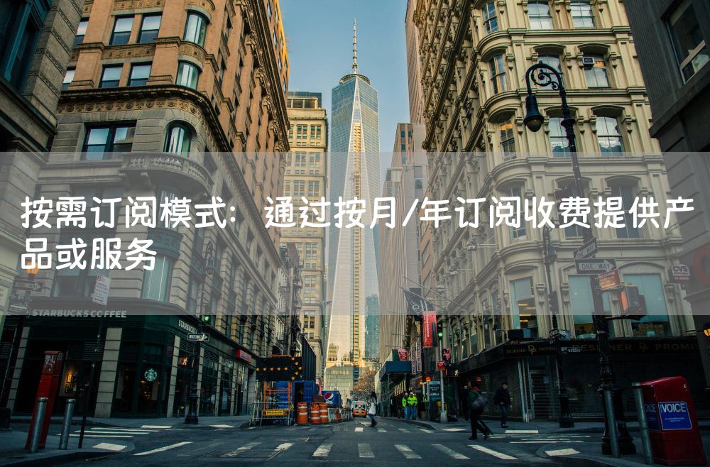 按需订阅模式：通过按月/年订阅收费提供产品或服务
