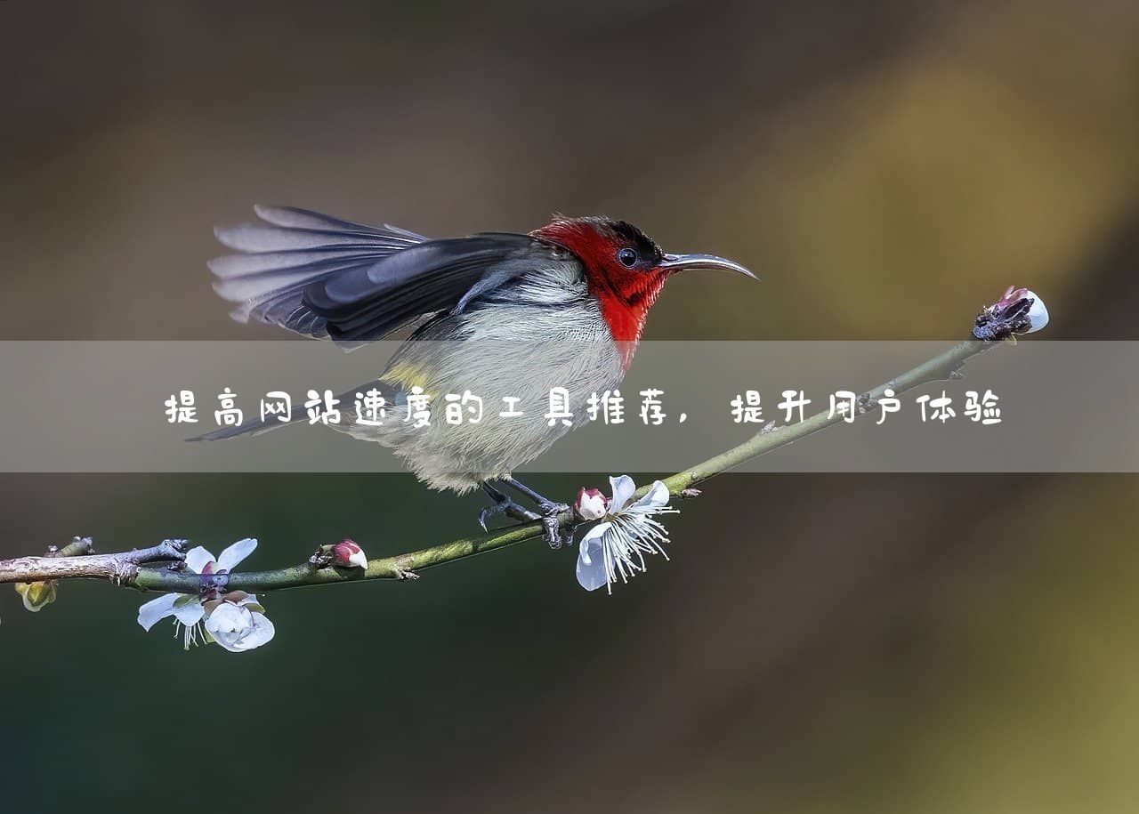 提高网站速度的工具推荐，提升用户体验