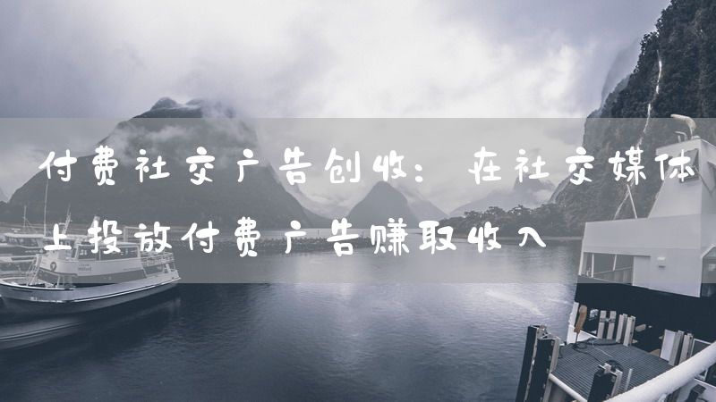 付费社交广告创收：在社交媒体上投放付费广告赚取收入