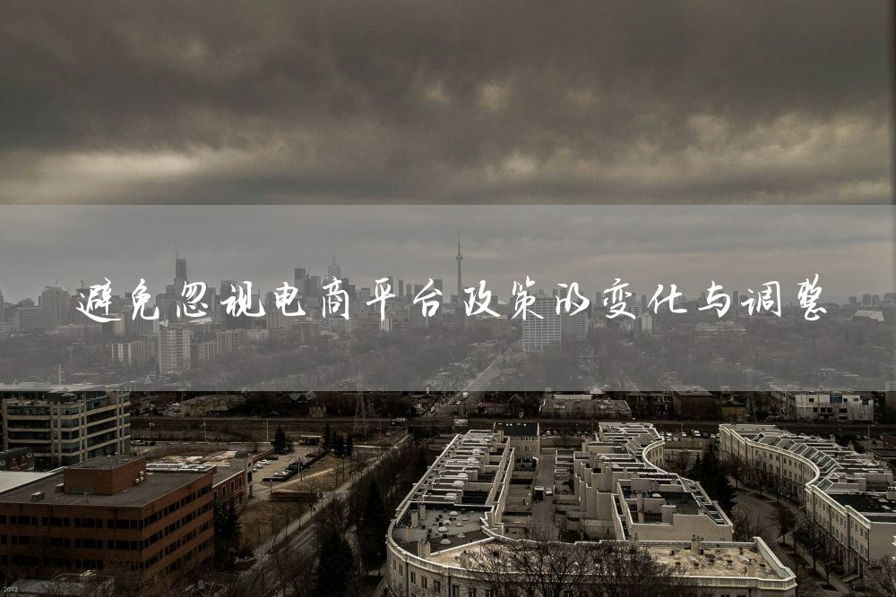 避免忽视电商平台政策的变化与调整