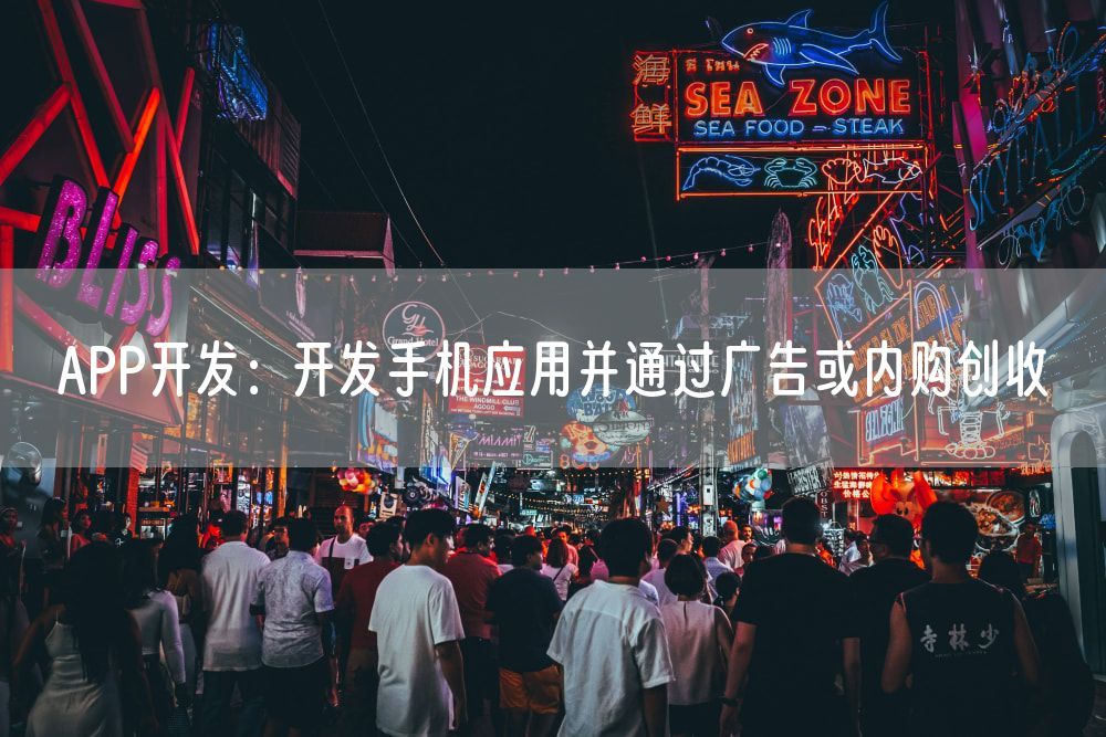 APP开发：开发手机应用并通过广告或内购创收