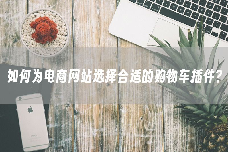 如何为电商网站选择合适的购物车插件？