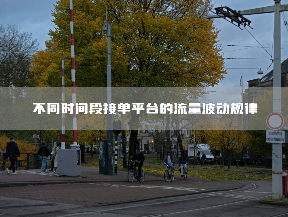 不同时间段接单平台的流量波动规律