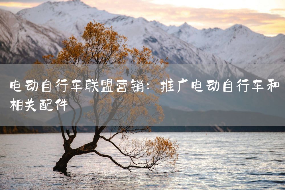 电动自行车联盟营销：推广电动自行车和相关配件