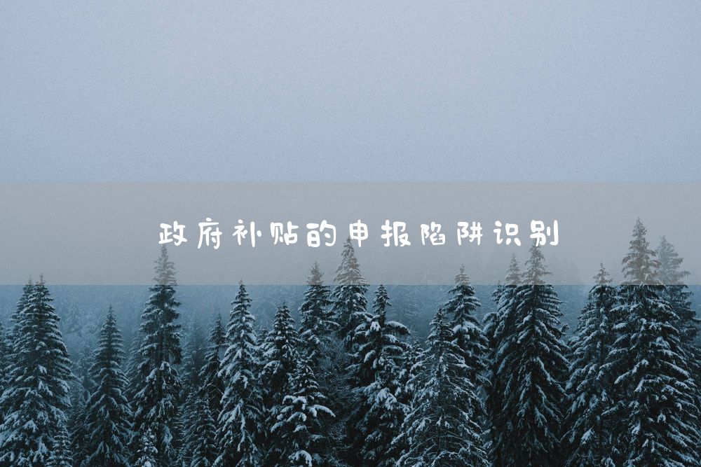 政府补贴的申报陷阱识别