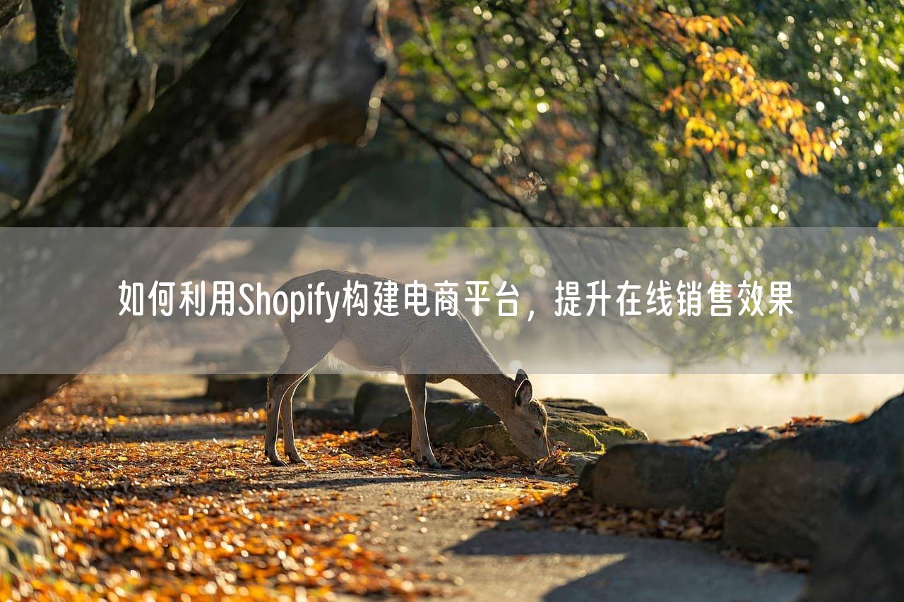 如何利用Shopify构建电商平台，提升在线销售效果