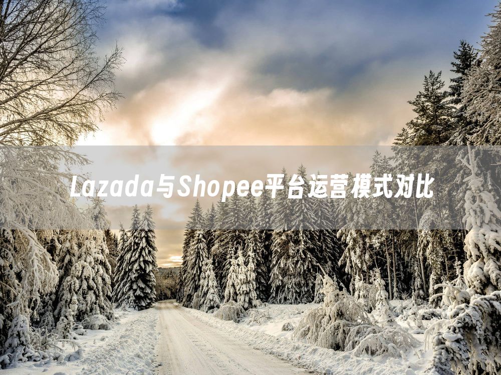 Lazada与Shopee平台运营模式对比