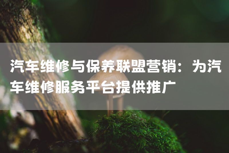 汽车维修与保养联盟营销：为汽车维修服务平台提供推广