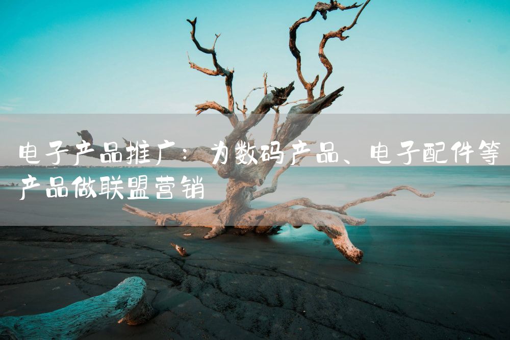 电子产品推广：为数码产品、电子配件等产品做联盟营销