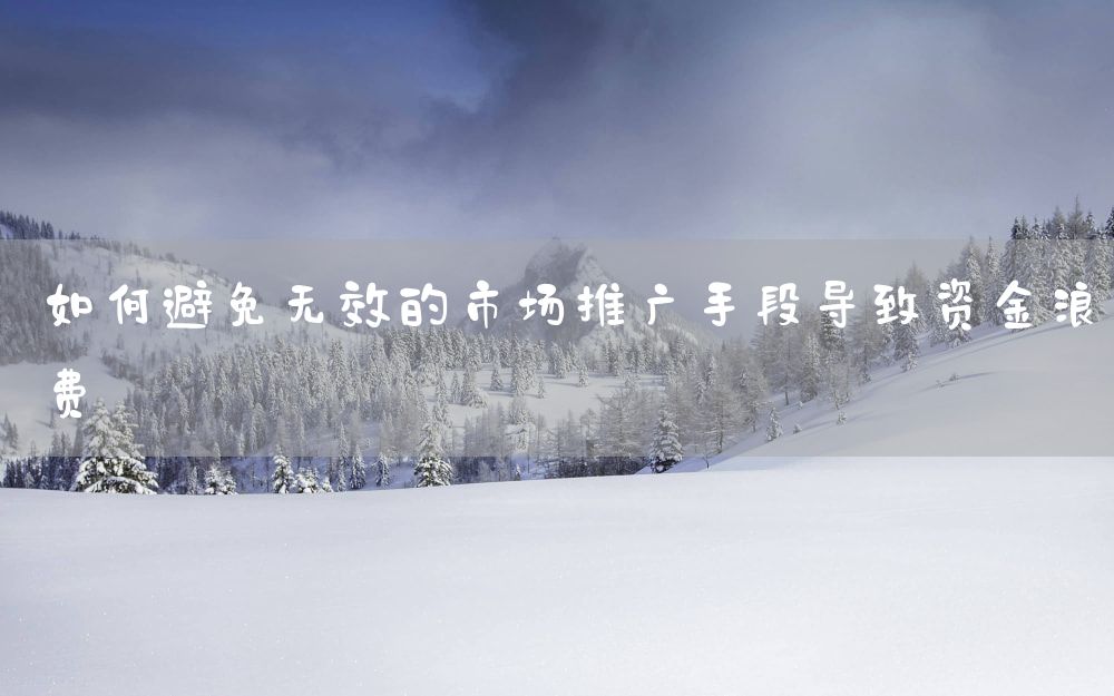 如何避免无效的市场推广手段导致资金浪费