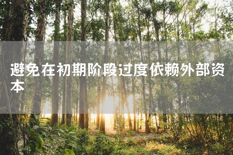 避免在初期阶段过度依赖外部资本