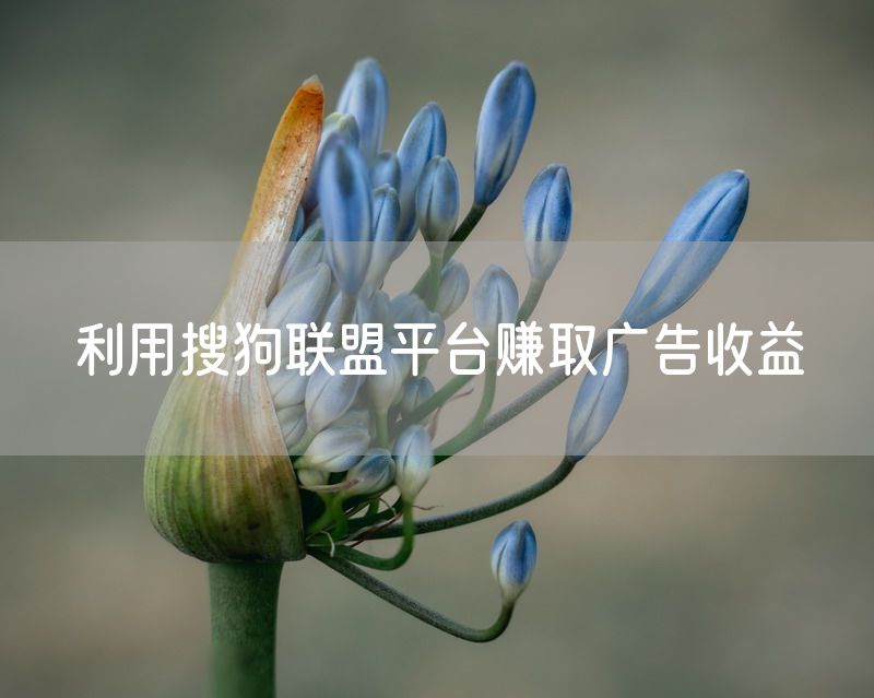 利用搜狗联盟平台赚取广告收益
