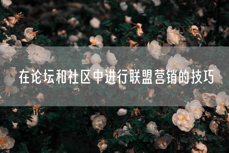 在论坛和社区中进行联盟营销的技巧
