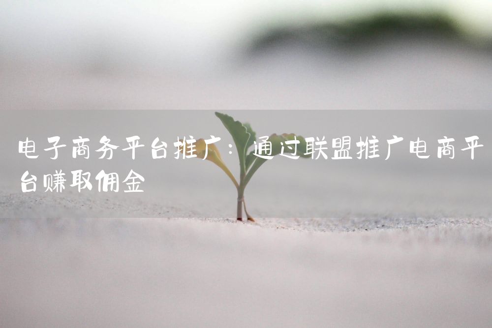 电子商务平台推广：通过联盟推广电商平台赚取佣金