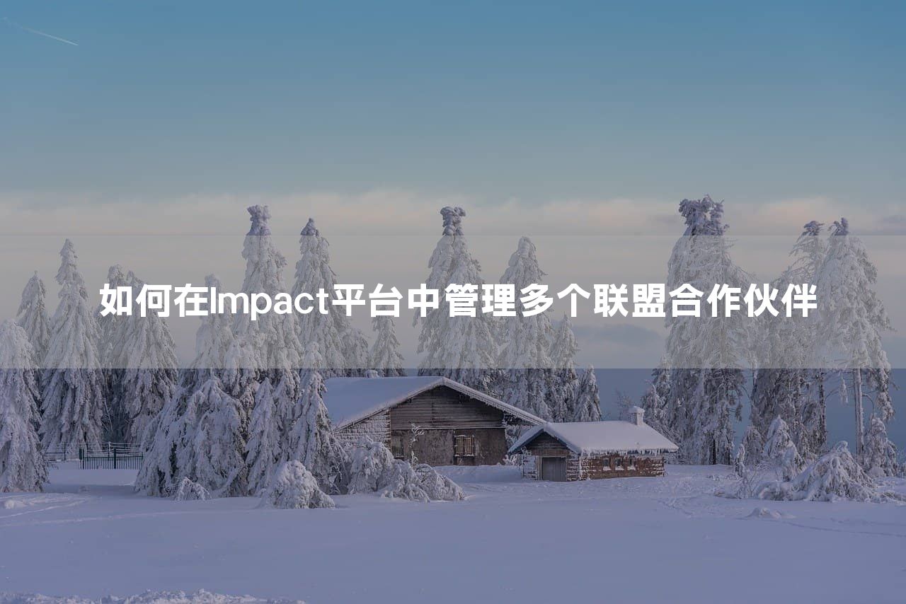 如何在Impact平台中管理多个联盟合作伙伴