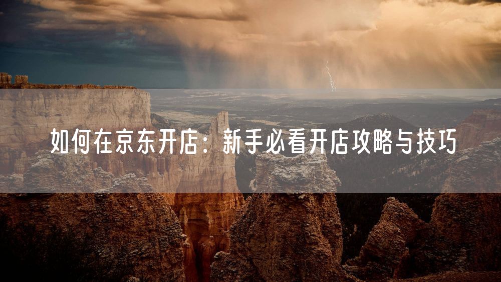 如何在京东开店：新手必看开店攻略与技巧