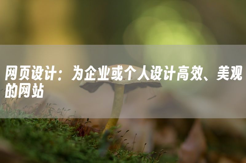 网页设计：为企业或个人设计高效、美观的网站