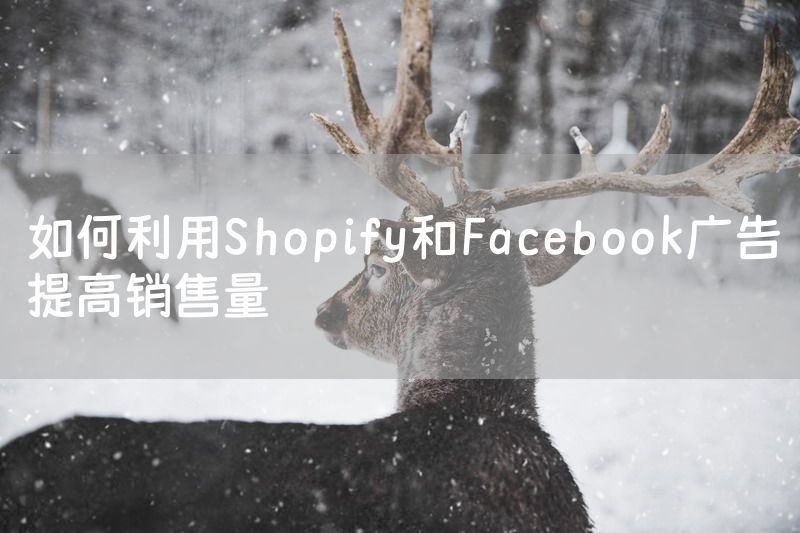 如何利用Shopify和Facebook广告提高销售量