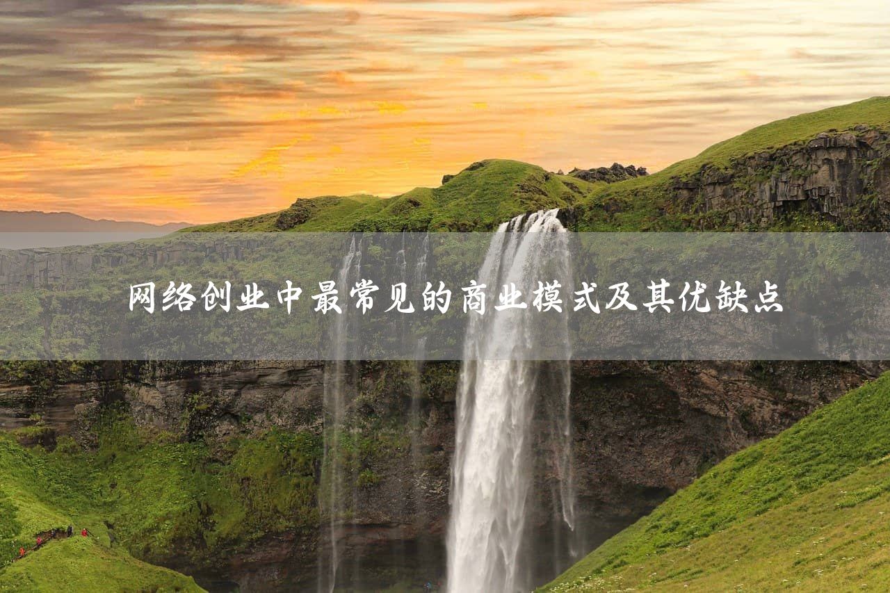 网络创业中最常见的商业模式及其优缺点
