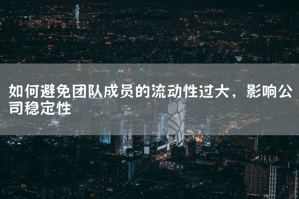 如何避免团队成员的流动性过大，影响公司稳定性