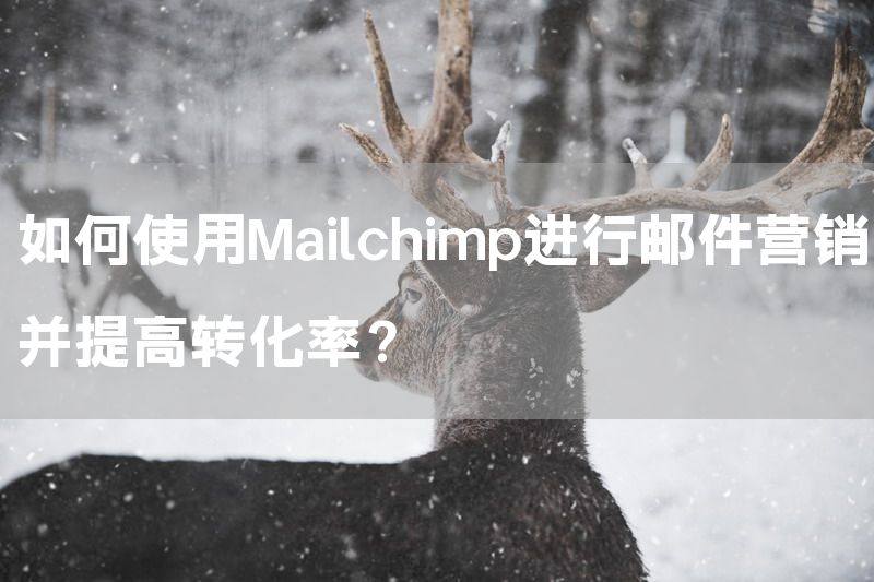 如何使用Mailchimp进行邮件营销并提高转化率？