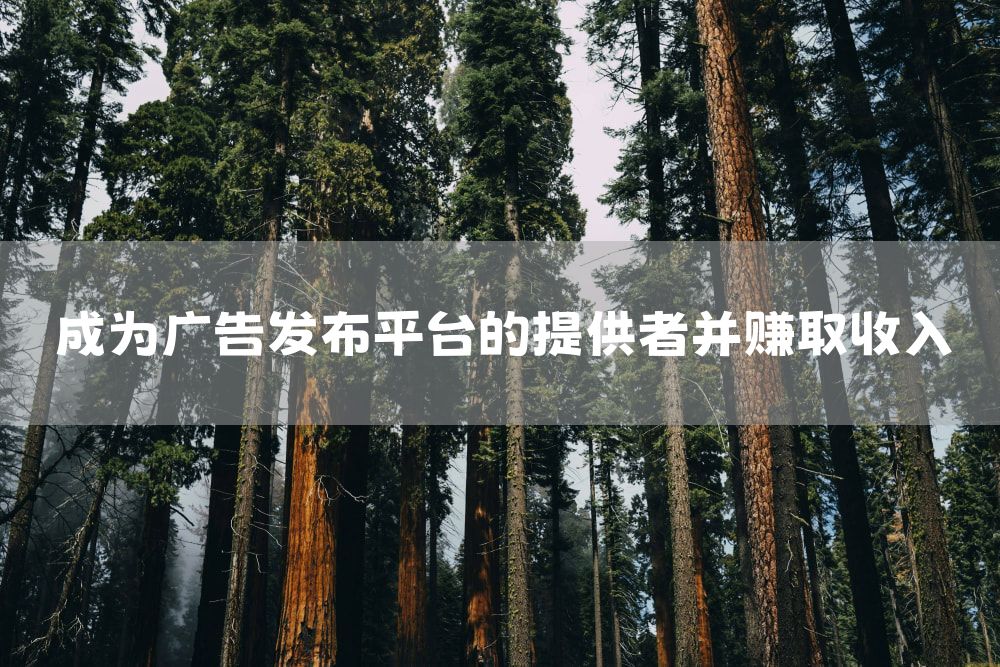 成为广告发布平台的提供者并赚取收入