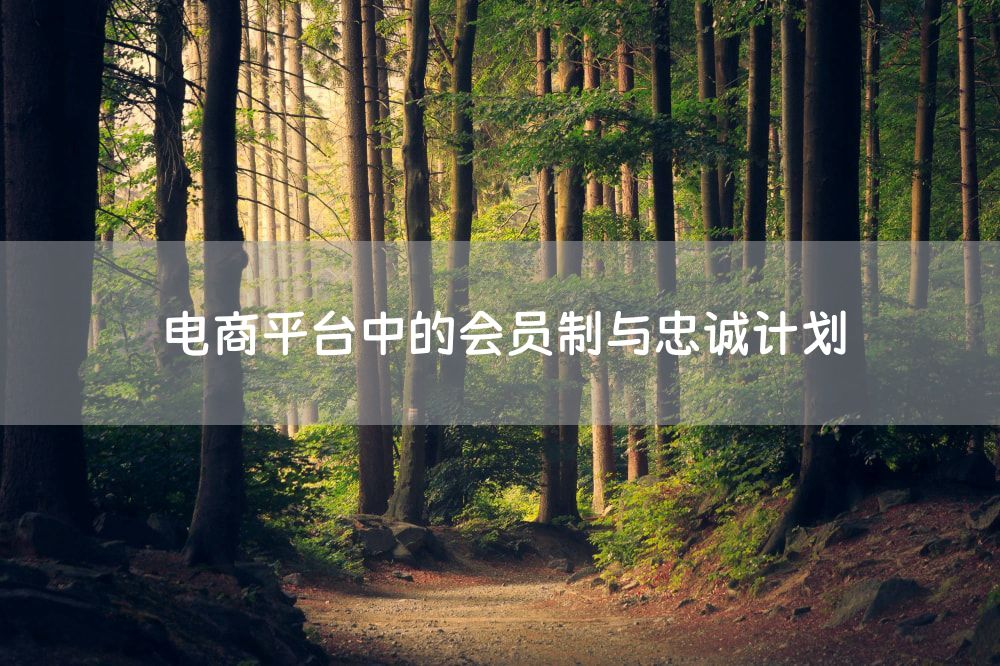 电商平台中的会员制与忠诚计划