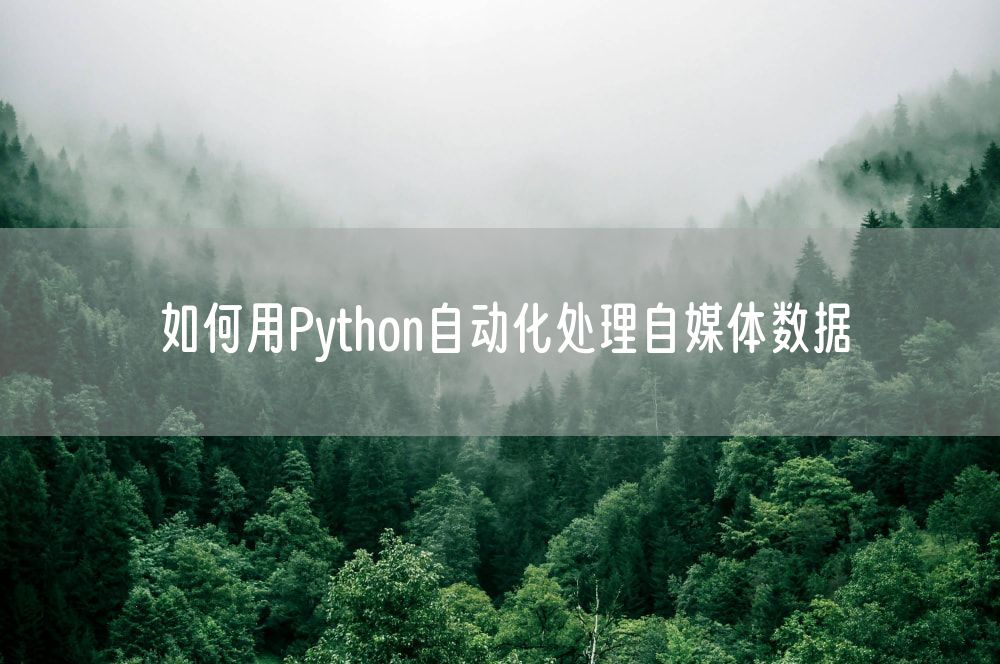 如何用Python自动化处理自媒体数据
