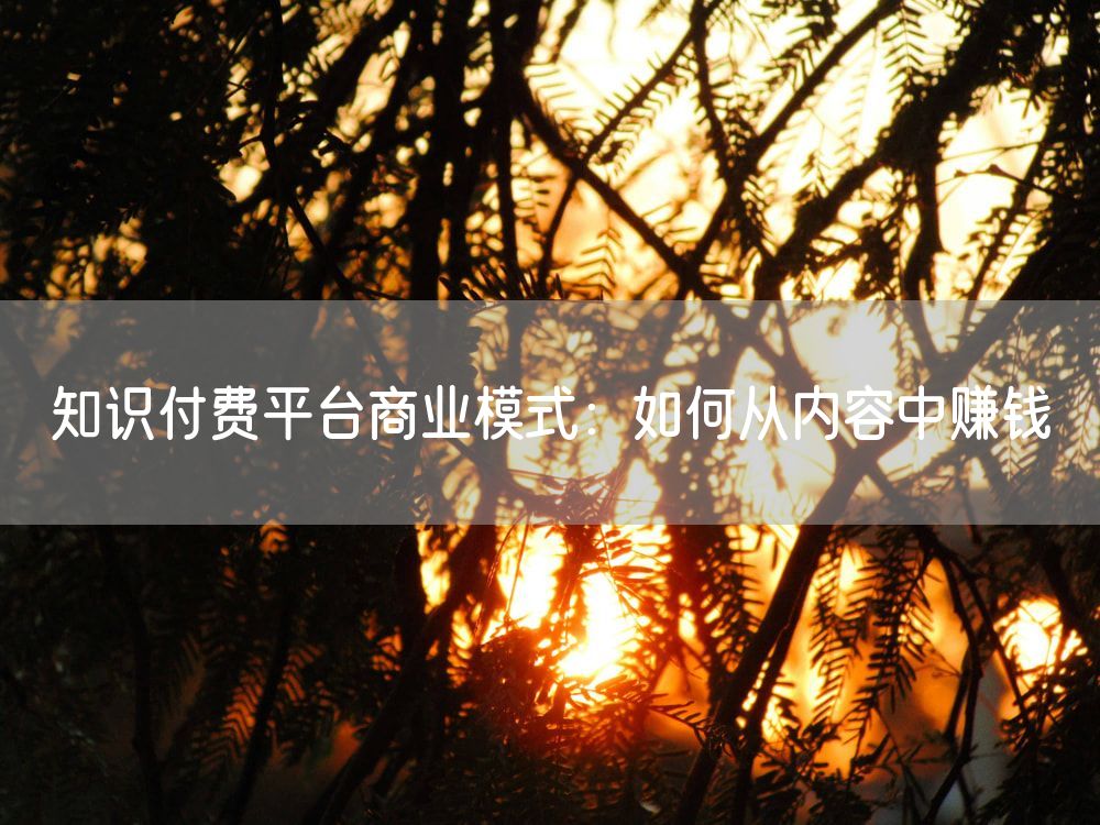 知识付费平台商业模式：如何从内容中赚钱
