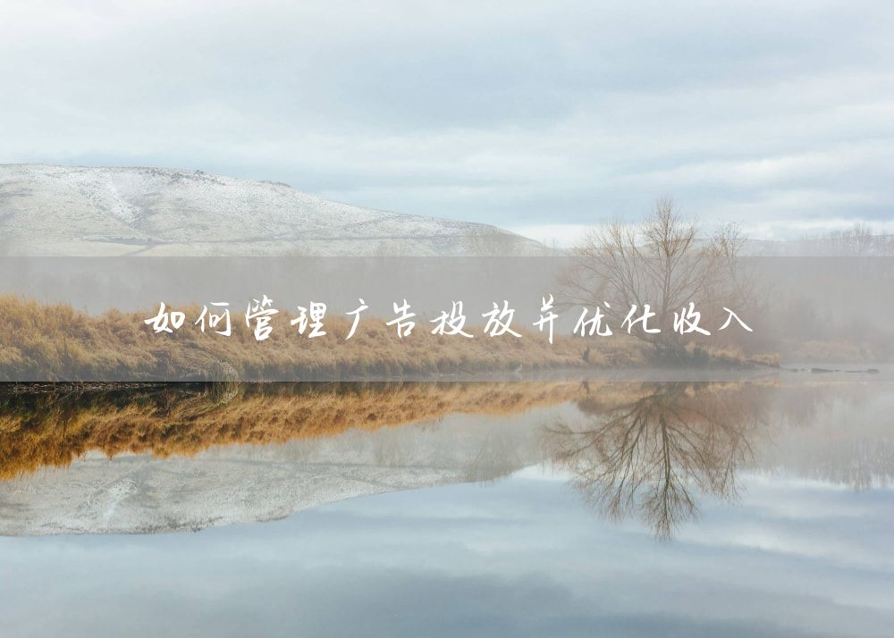 如何管理广告投放并优化收入