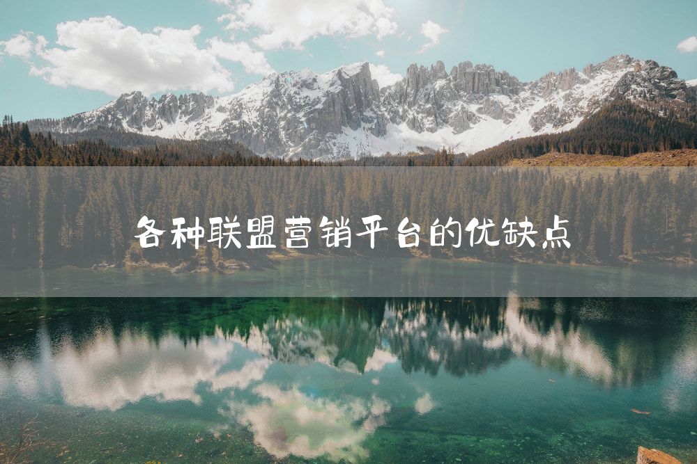 各种联盟营销平台的优缺点
